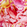 男士 Crab Balloons 超轻易收纳游泳短裤 Peony 