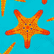Costume da bagno uomo elasticizzato Starfish Dance Blu curacao 