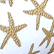 Silla de playa flotante de efecto rafia con estampado Starfish Blanco 