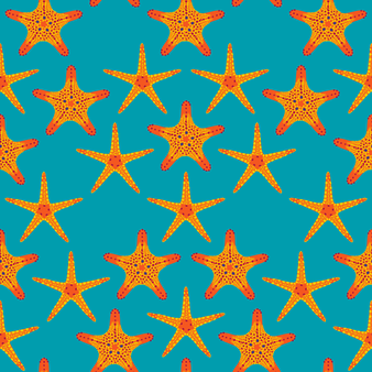 Maillot de bain ceinture plate homme Starfish Dance Curacao imprimé
