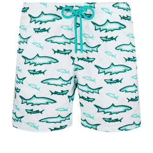 Men Embroidered Embroidered - Men Embroidered Swim Shorts Requins 3D - Limited Edition, Glacier front view