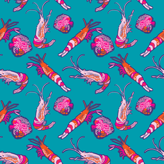 男童 Crevettes et Poissons 超轻易收纳泳装 Curacao 打印