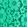 Women Guipure Pants Flowers Lace Green paradise 