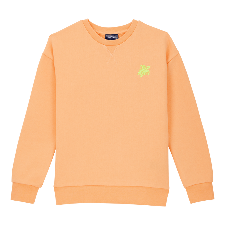Baumwoll-sweatshirt Mit Rundhalsausschnitt Und Aufgestickter Schildkröte Für Jungen - Gee - Orange