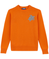 Men Wool and Cashmere Crewneck Sweater Turtle Carrot front view