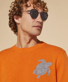 Men Wool and Cashmere Crewneck Sweater Turtle Carrot details view 2