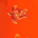 Maillot de bain homme brodé Tortue Multicolore Abricot 