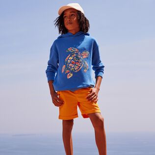 Boys Hoodie Sweatshirt Turtle printed Fonds Marins Multicolores Earthenware details view 2