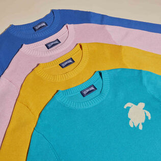 Men Cotton and Cashmere Crewneck Sweater Turtle Tropezian blue details view 3