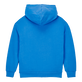 Boys Hoodie Sweatshirt Turtle printed Fonds Marins Multicolores Earthenware back view