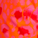 New Leopard 女士游泳短裤 Apricot 