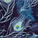 Eyes of the Wind Badeanzug mit Second-Skin-Material für Damen Midnight 
