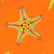 Bañador con bordado Starfish Dance para hombre - Edición limitada Tango 