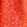 Women Guipure Pants Flowers Lace Poppy red 