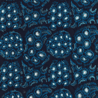 男士 2015 Inkshell 刺绣泳裤 - 限量版 Sapphire 打印