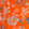 Men Swim Shorts Embroidered Tropical Turtles - Limited Edition Apricot 