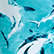 Boys Ultra-Light and Packable Swim Trunks Requins Lagoon 