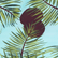2006 Coconuts Badeshorts für Jungen Lazuli blue 