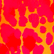 New Leopard 男士人字拖 Apricot 