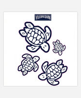 Sea Life Car Stickers - Vilebrequin x Fiat Navy front view