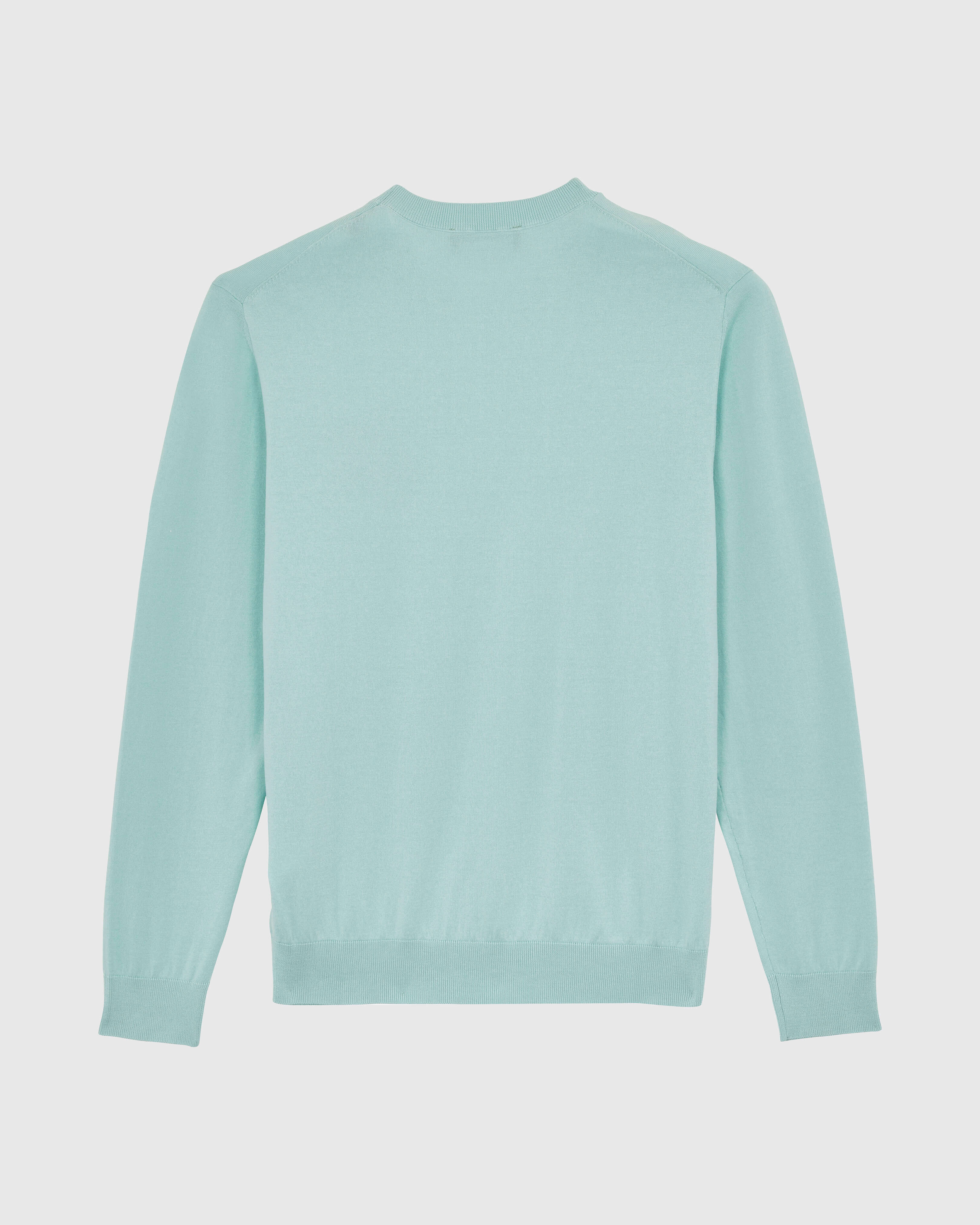Men Cotton Sweater Turtle PACIFIC back view