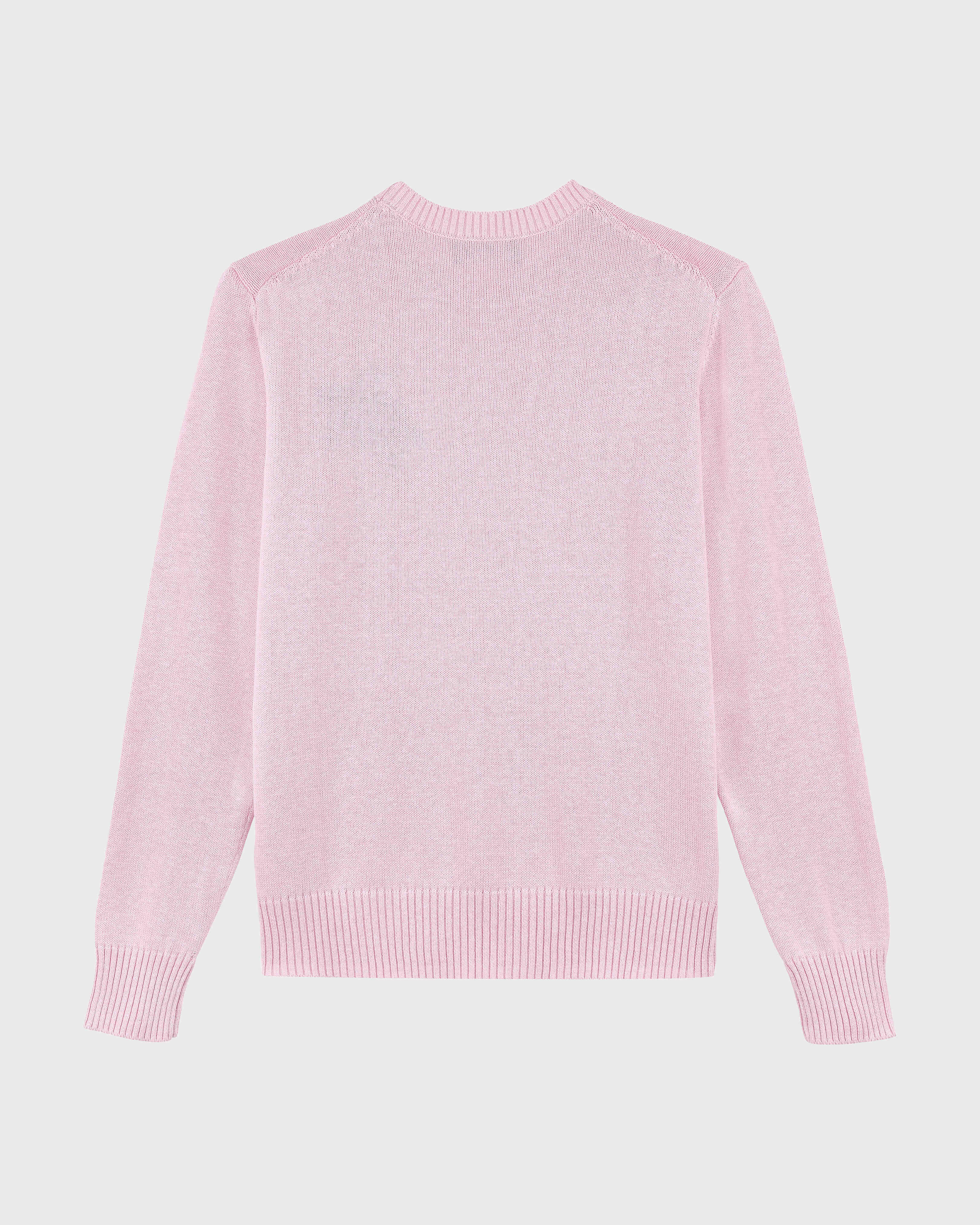 Men Cotton and Cashmere Crewneck Sweater Turtle PINK back view