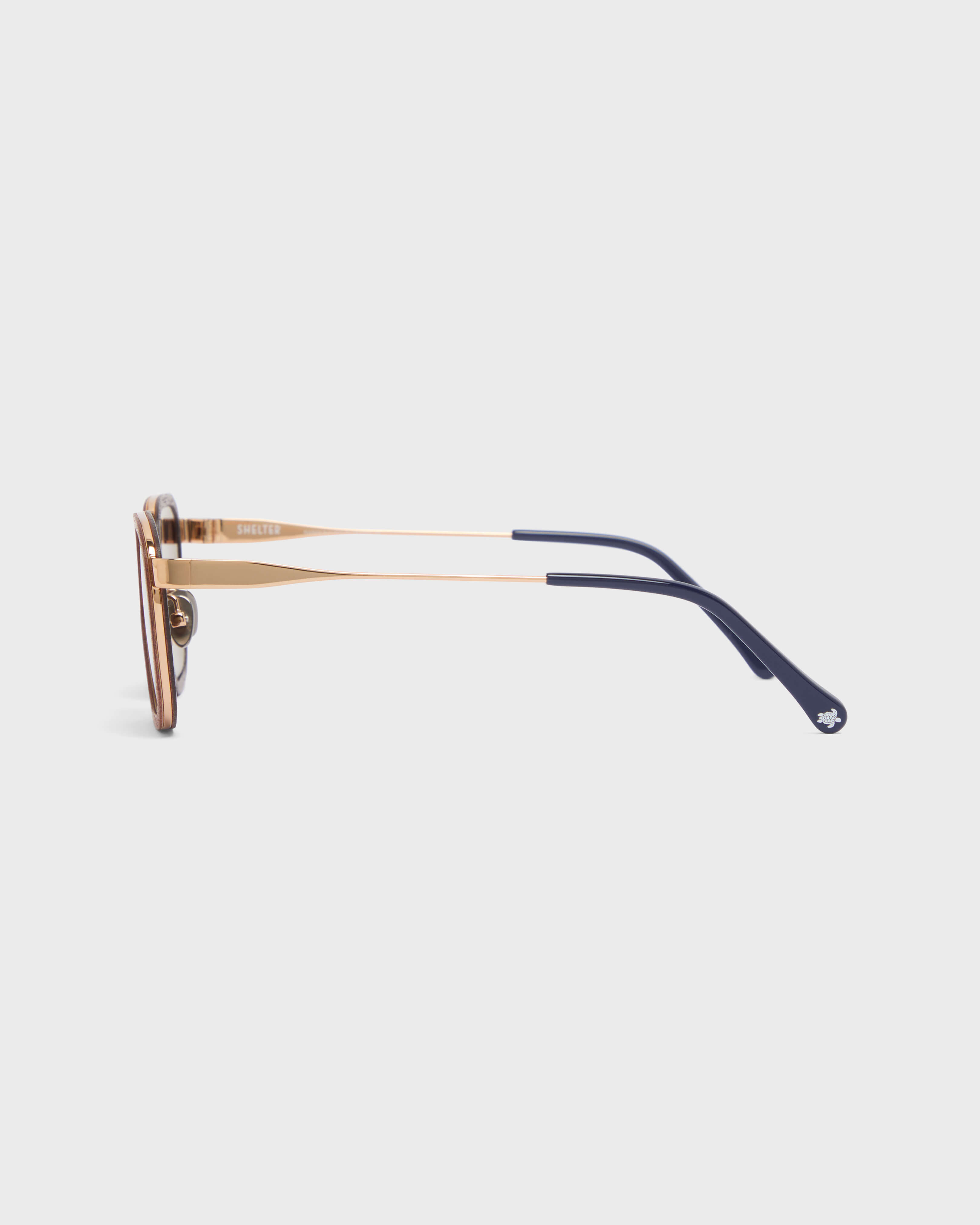 Lunettes en bois d'acajou unisexe PINK GOLDEN back view