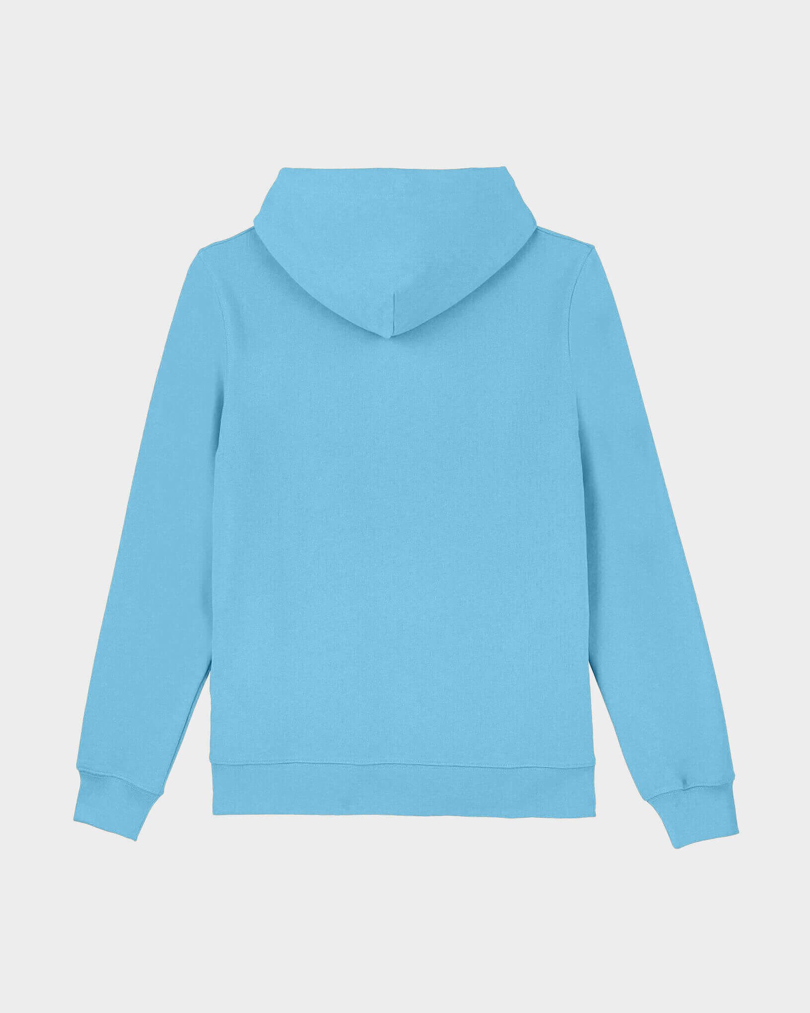 Sudadera con capucha de algodón de color liso para hombre SANTORINI back view