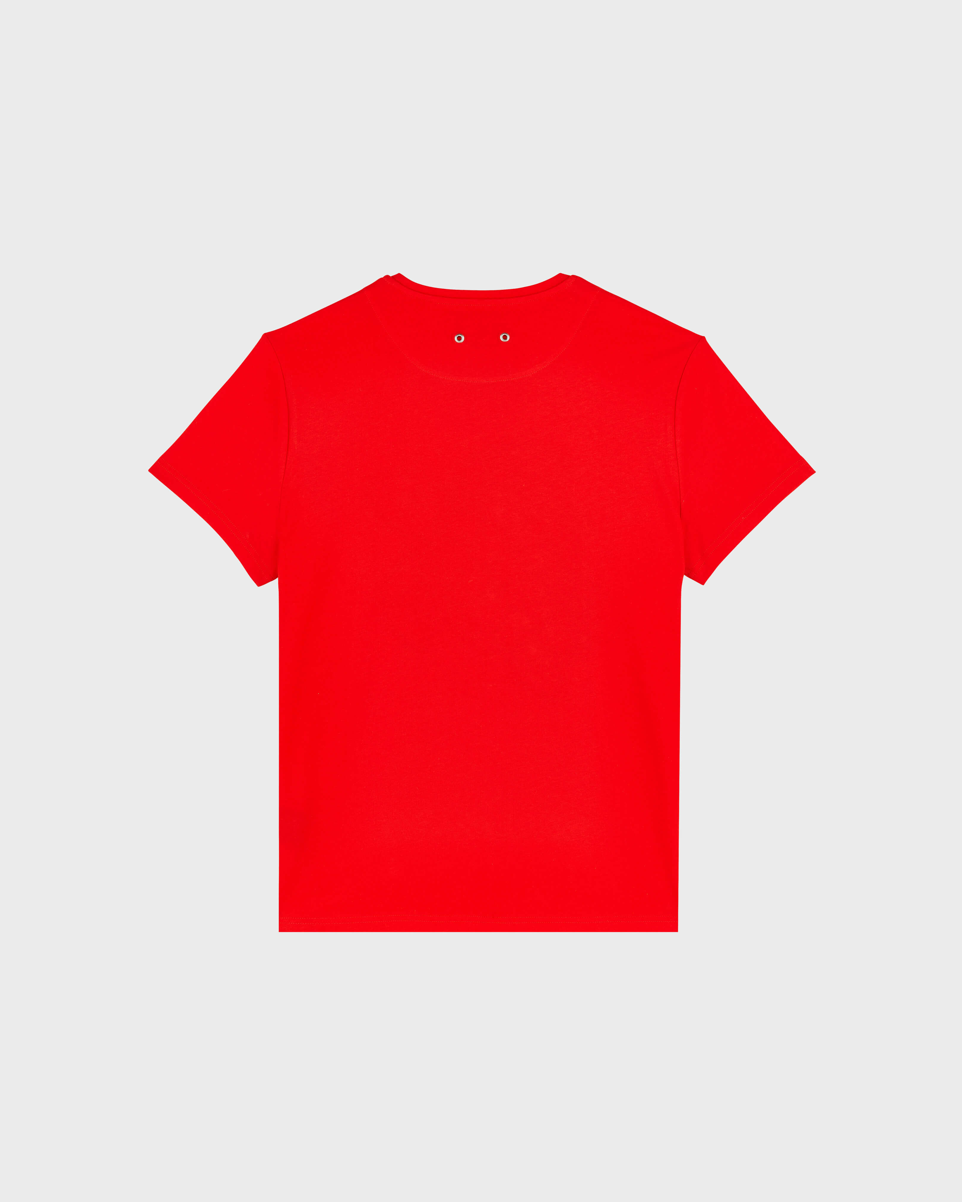 Men Organic Cotton T-Shirt Placed Embroidered Turtle POPPY RED back view