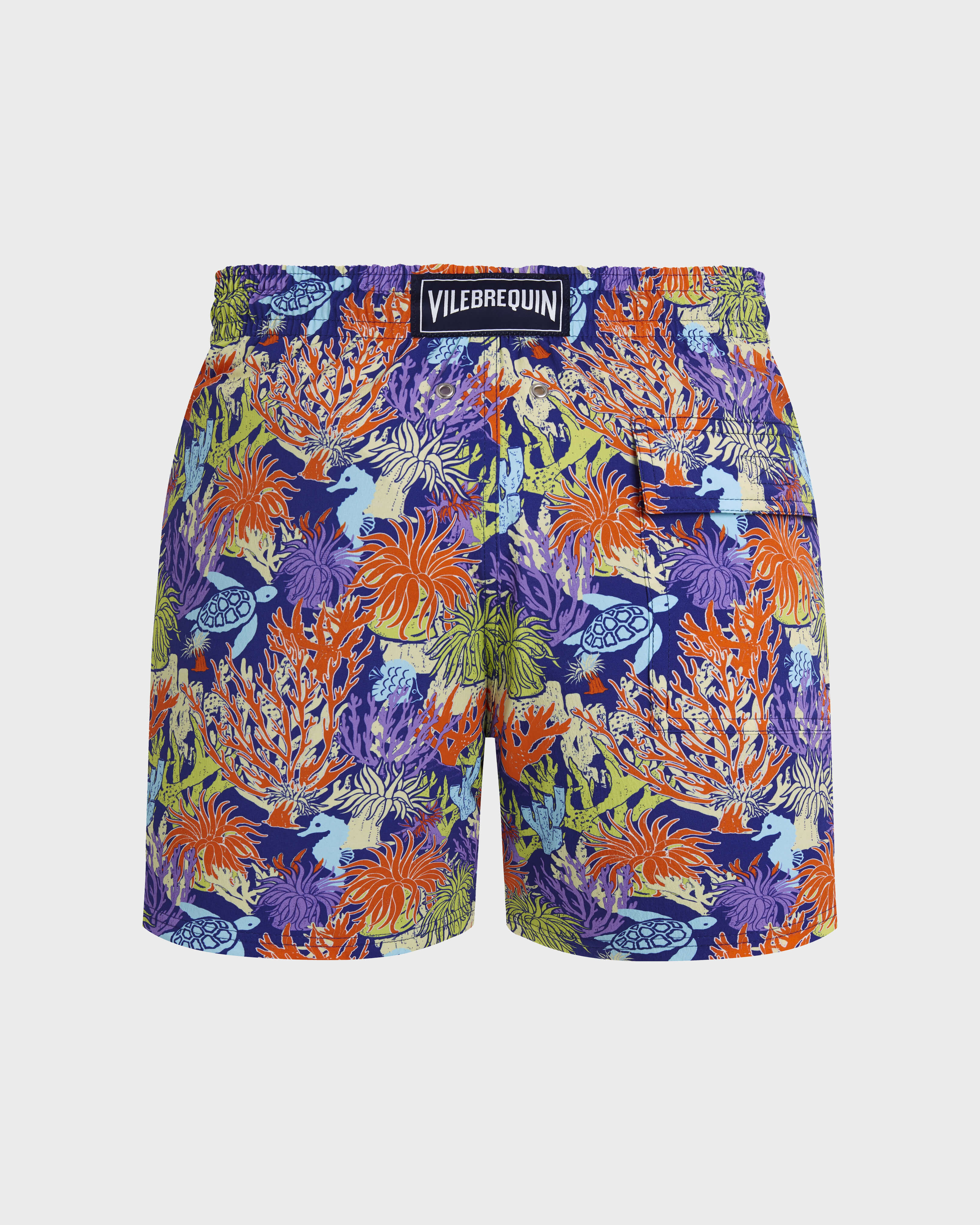 Men Stretch Short Swim Shorts Aquatic Life VERSAILLES back view