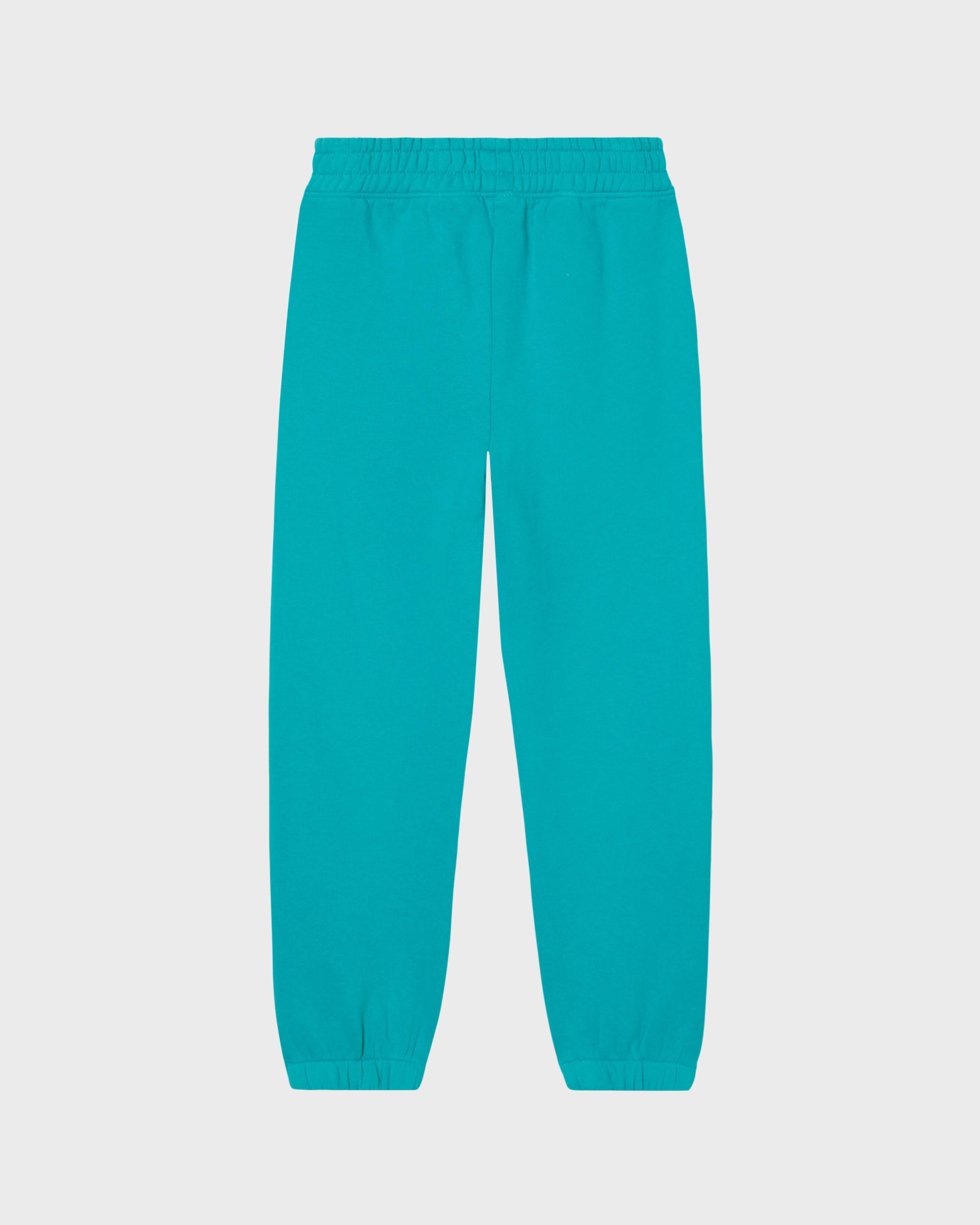 Pantalon de jogging enfant Tortue brodée 475 back view