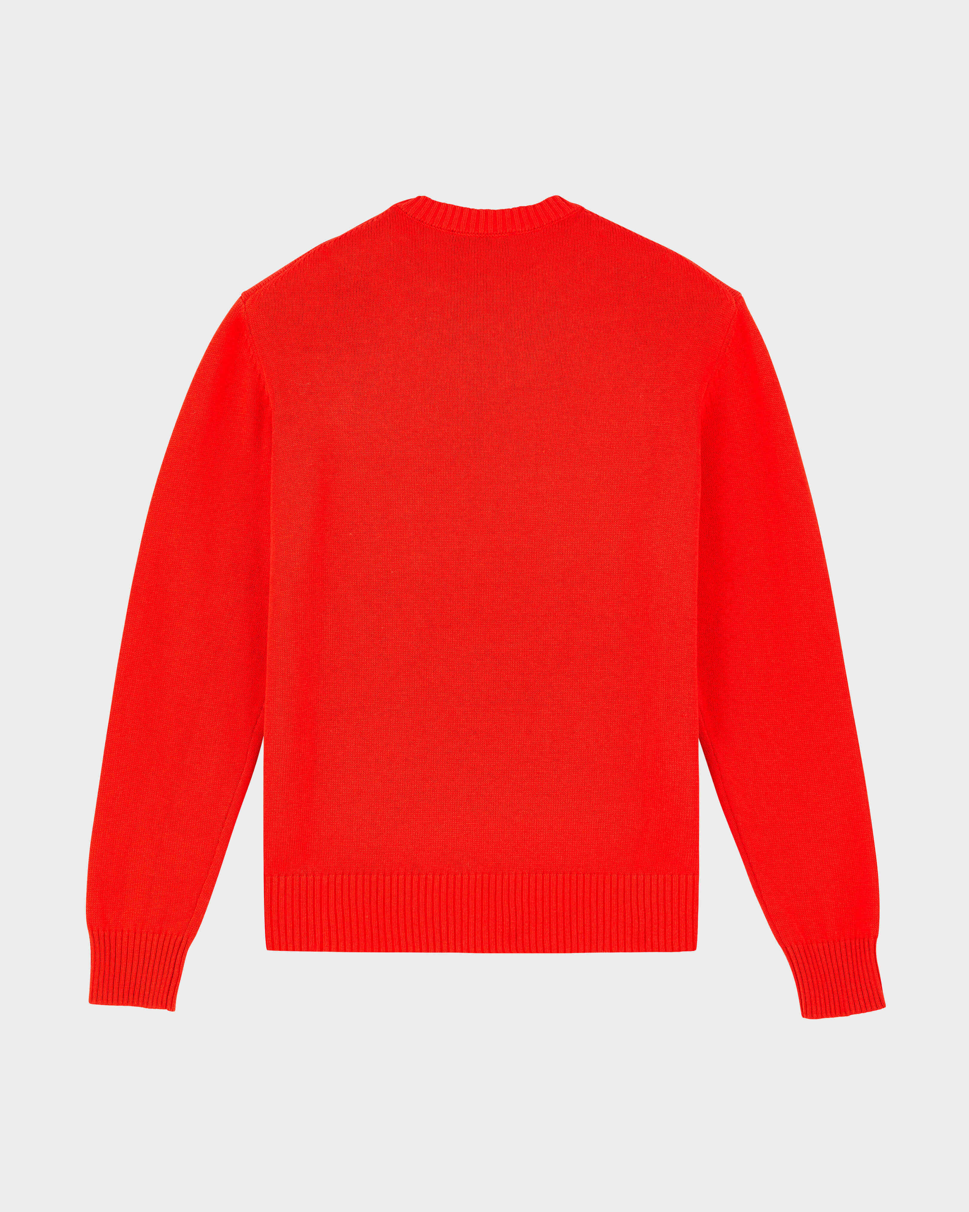 Men Crewneck Cotton Cashmere Sweater Turtle TILE back view