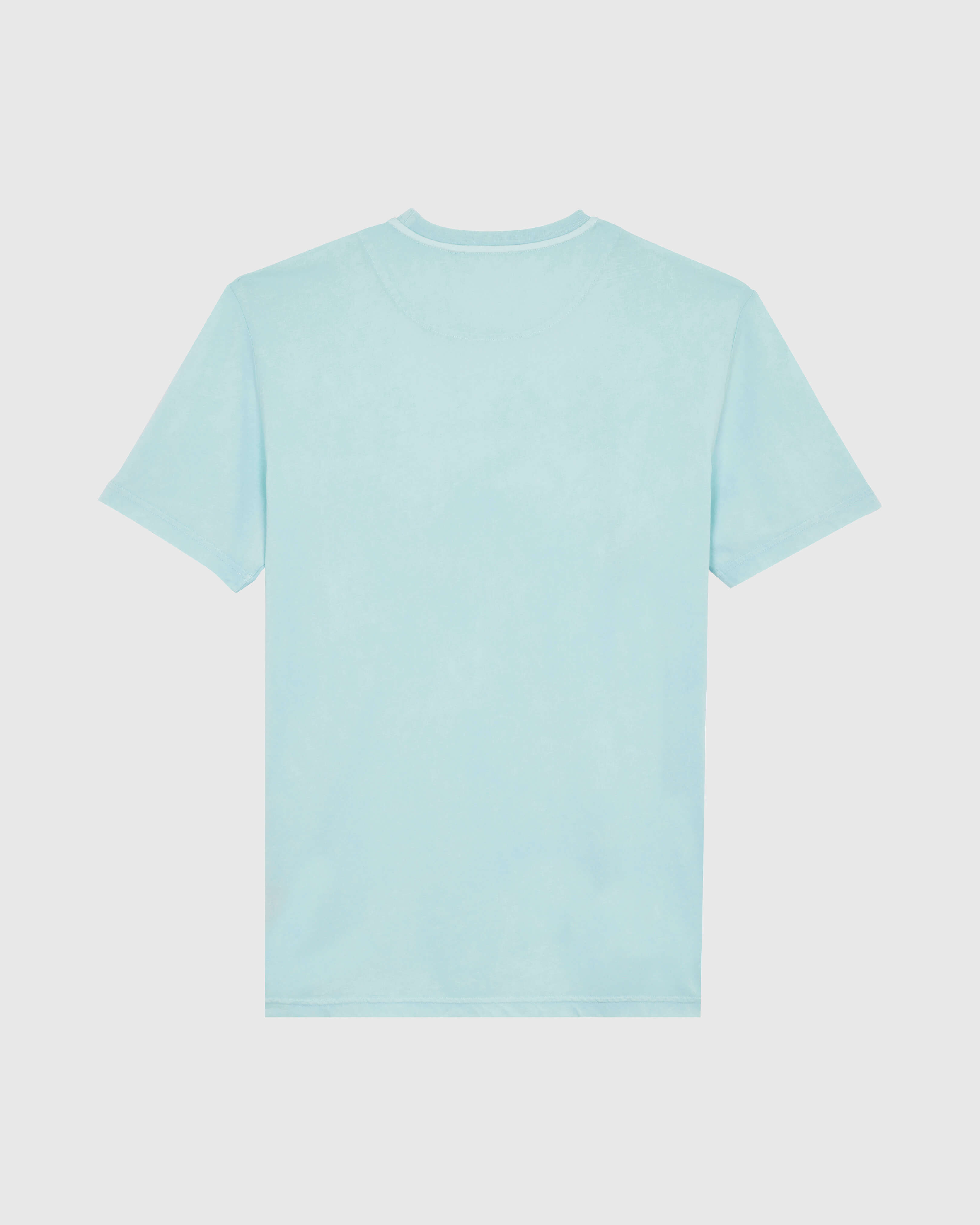 Men Solid Organic cotton T-shirt Natural Colors PACIFIC back view