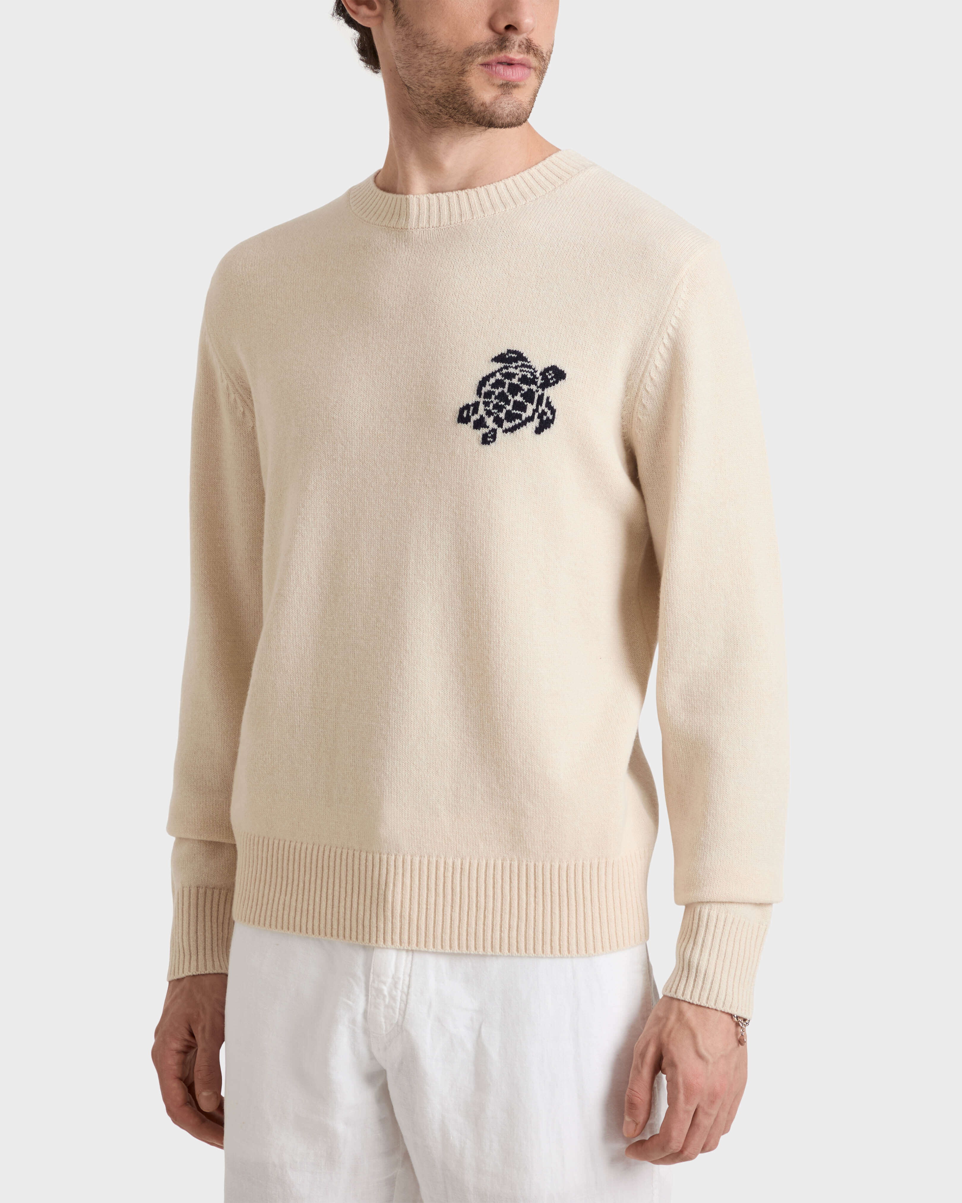 Jersey de lana y cachemir con estampado Turtle para hombre BRUME frontworn view