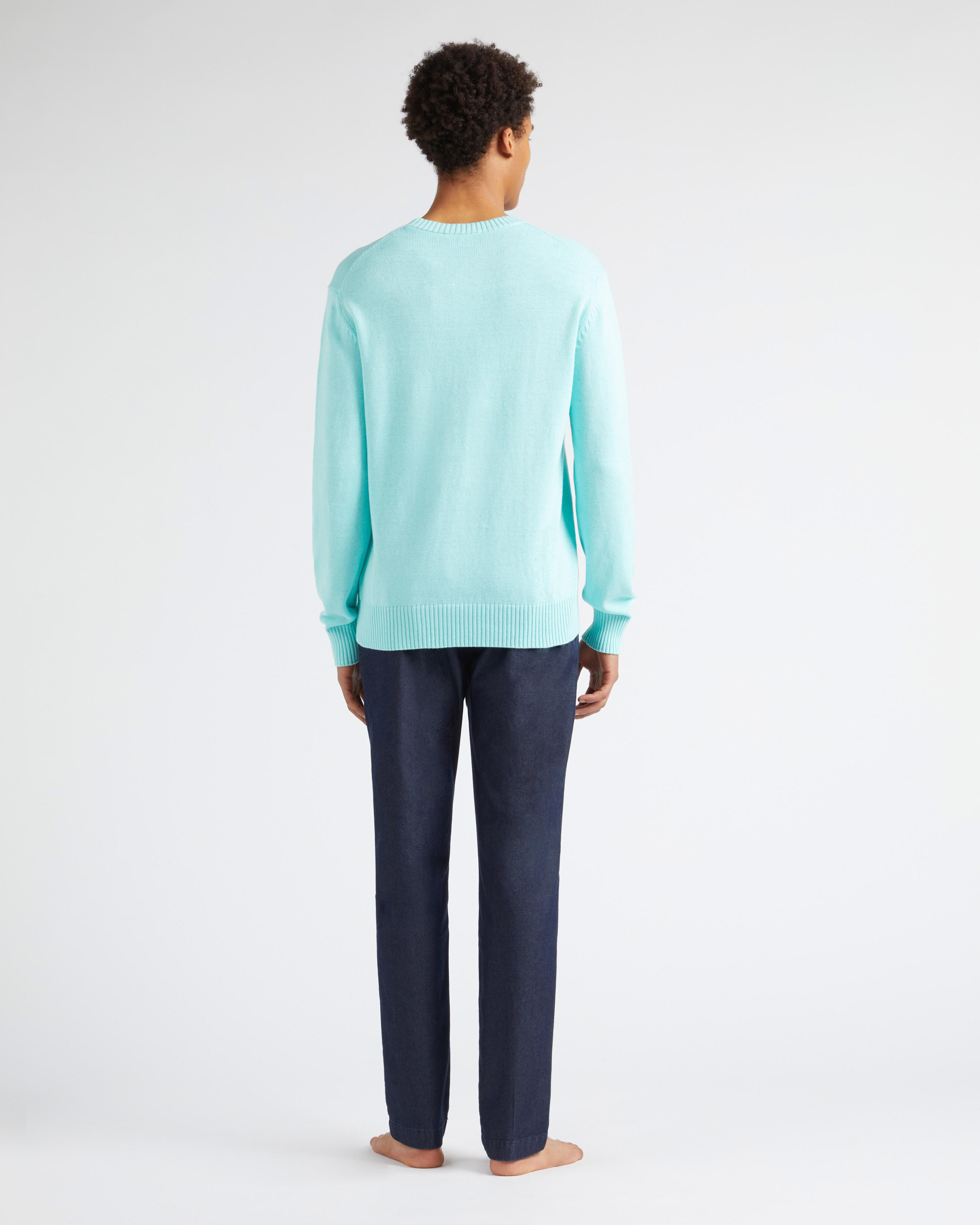 Jersey de algodón y cachemir de cuello redondo y estampado Turtle para hombre ACQUA backworn view