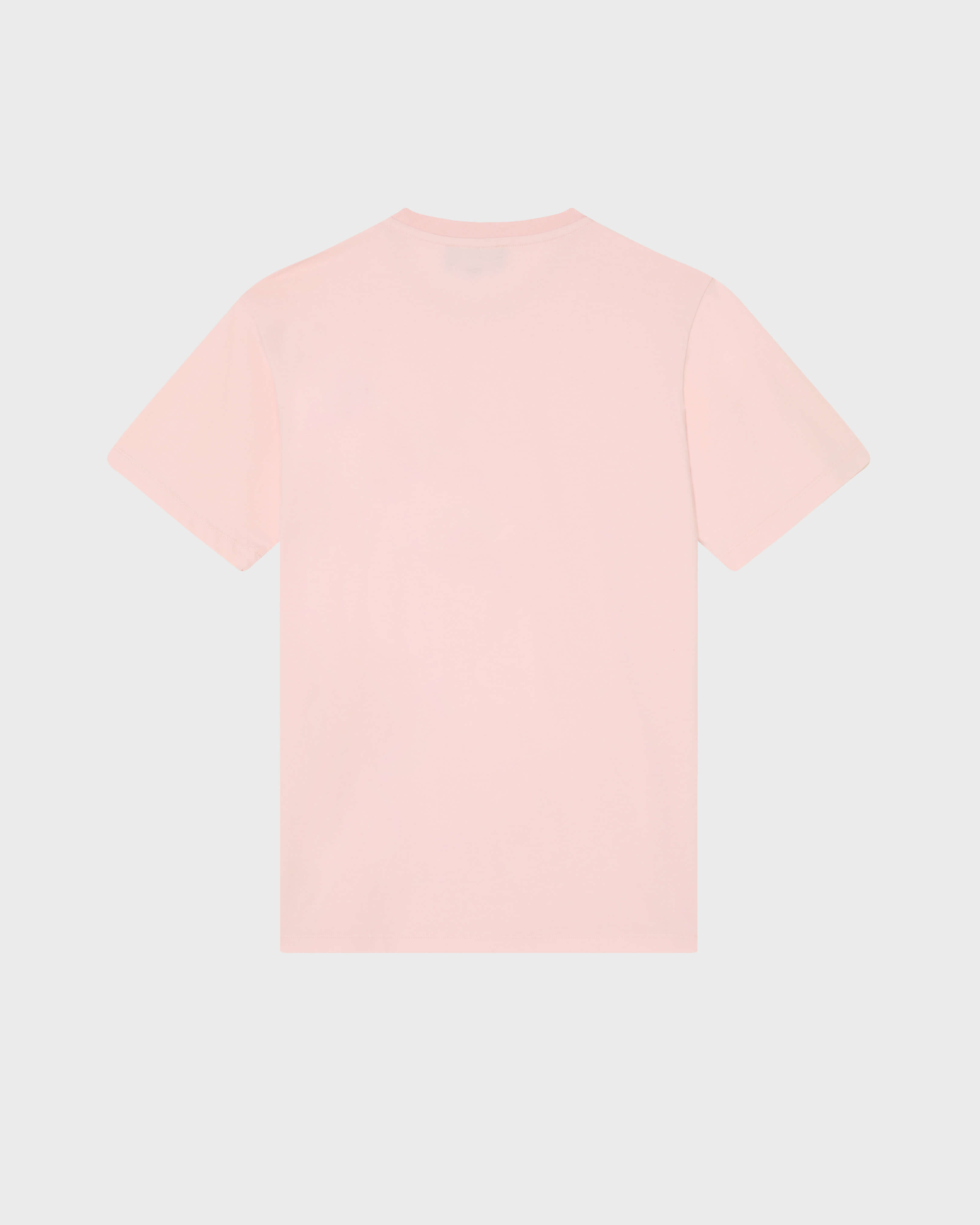 Men Organic Cotton T-shirt Big Turtle Embroidery PEONY back view