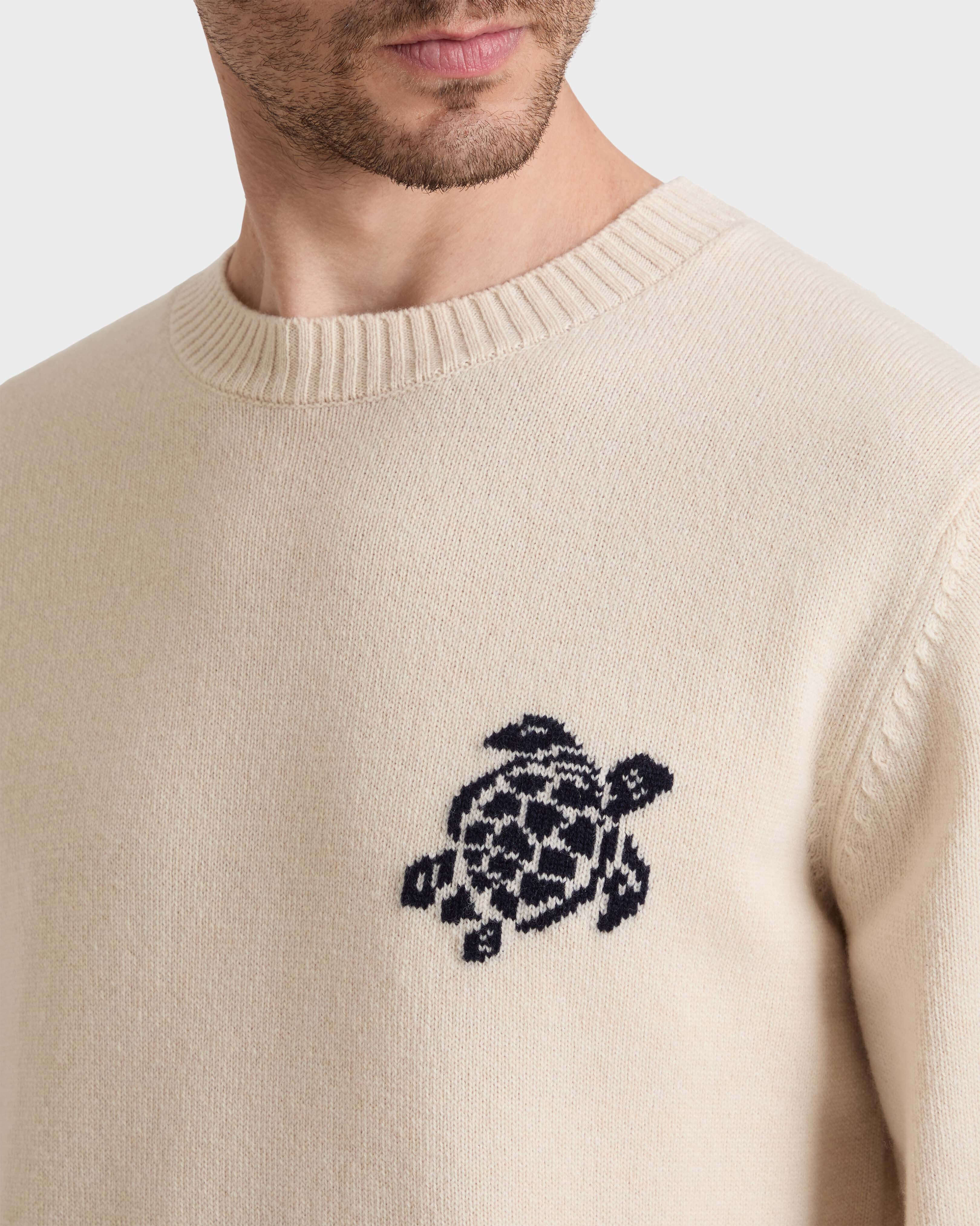 Jersey de lana y cachemir con estampado Turtle para hombre BRUME supp1 view