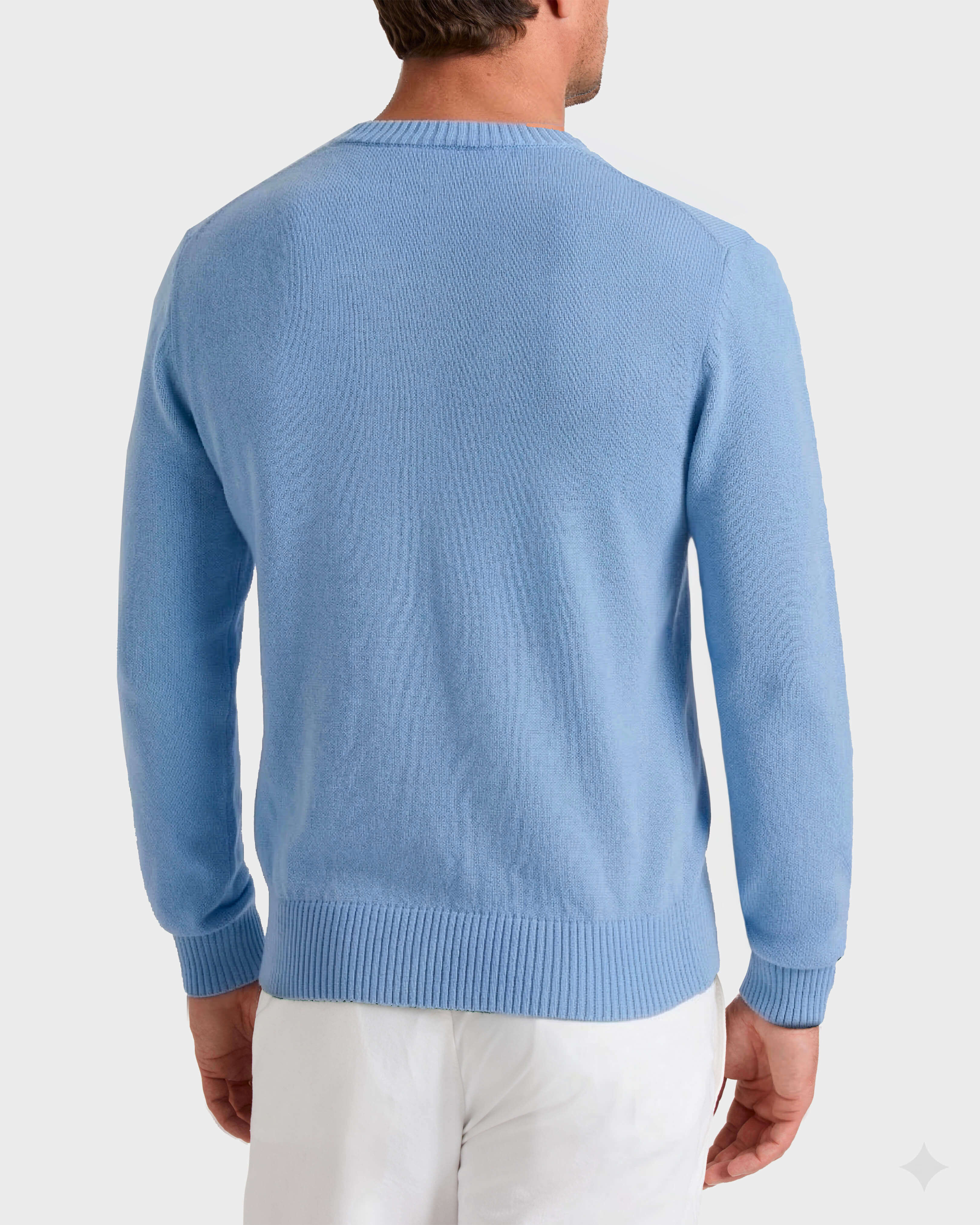 Men Cotton and Cashmere Crewneck Sweater Turtle CLOUDY backworn view