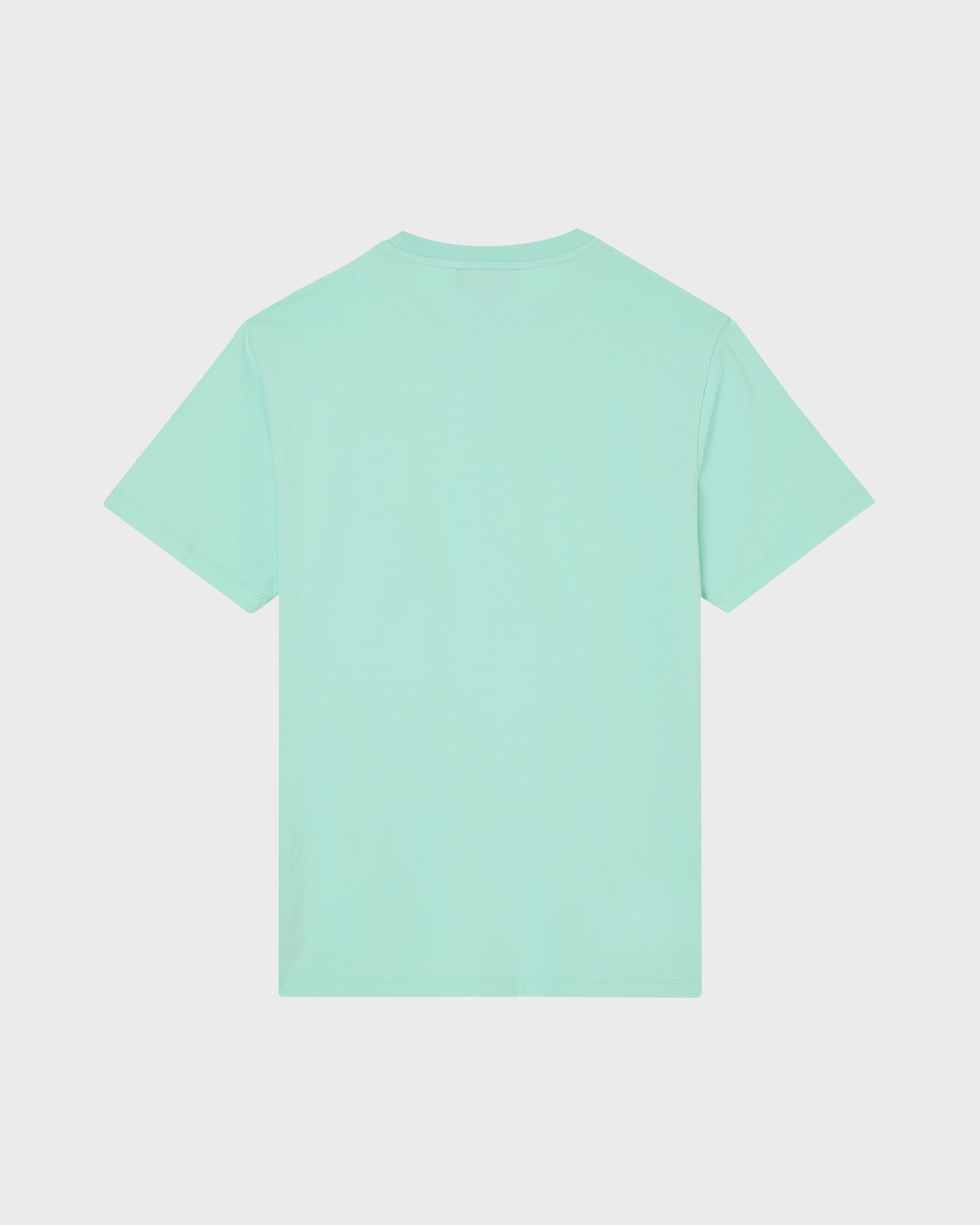 Men Organic Cotton T-shirt Big Turtle Embroidery CARIBBEAN back view