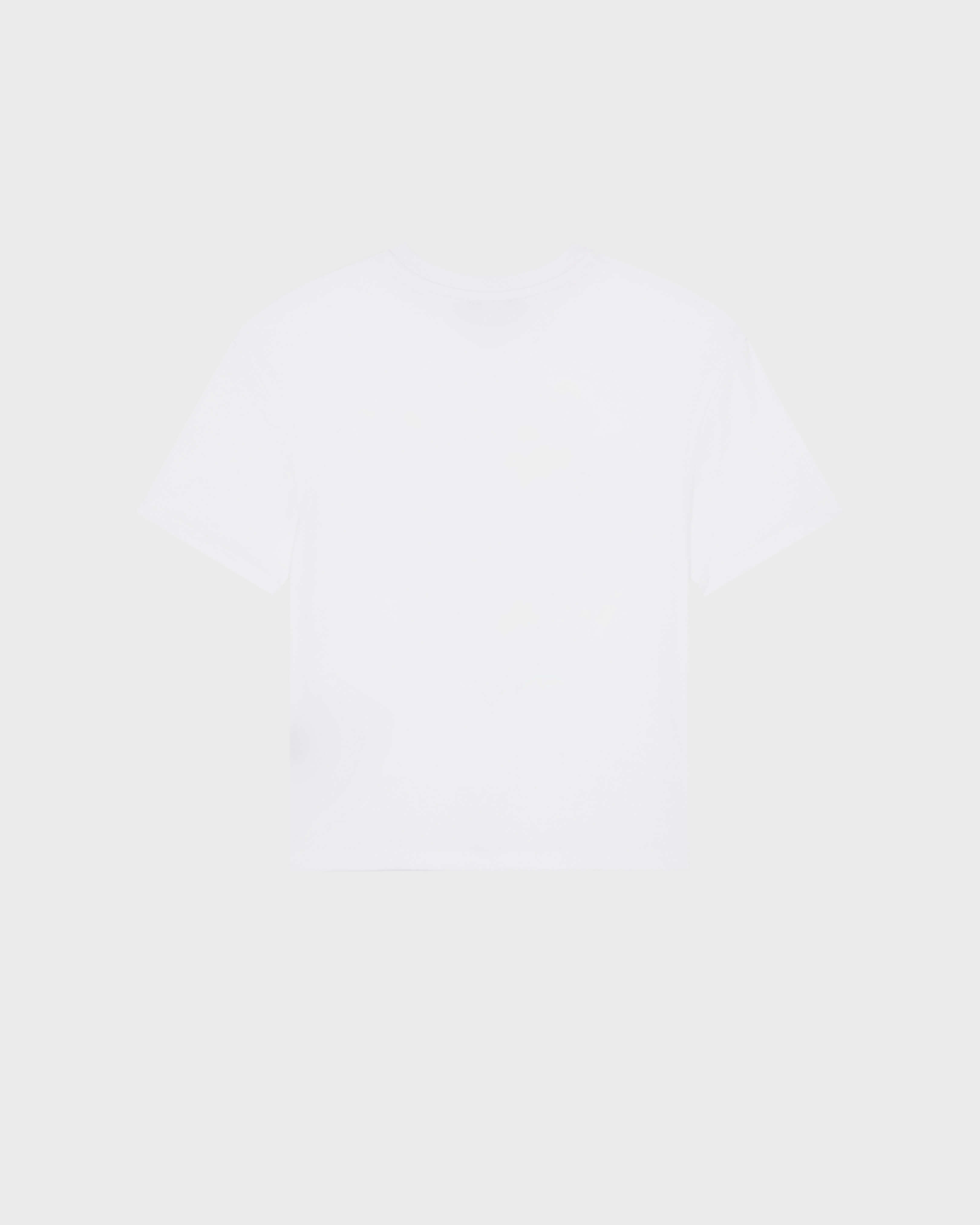 Boys Regular Cut T-shirt Orcas WHITE back view