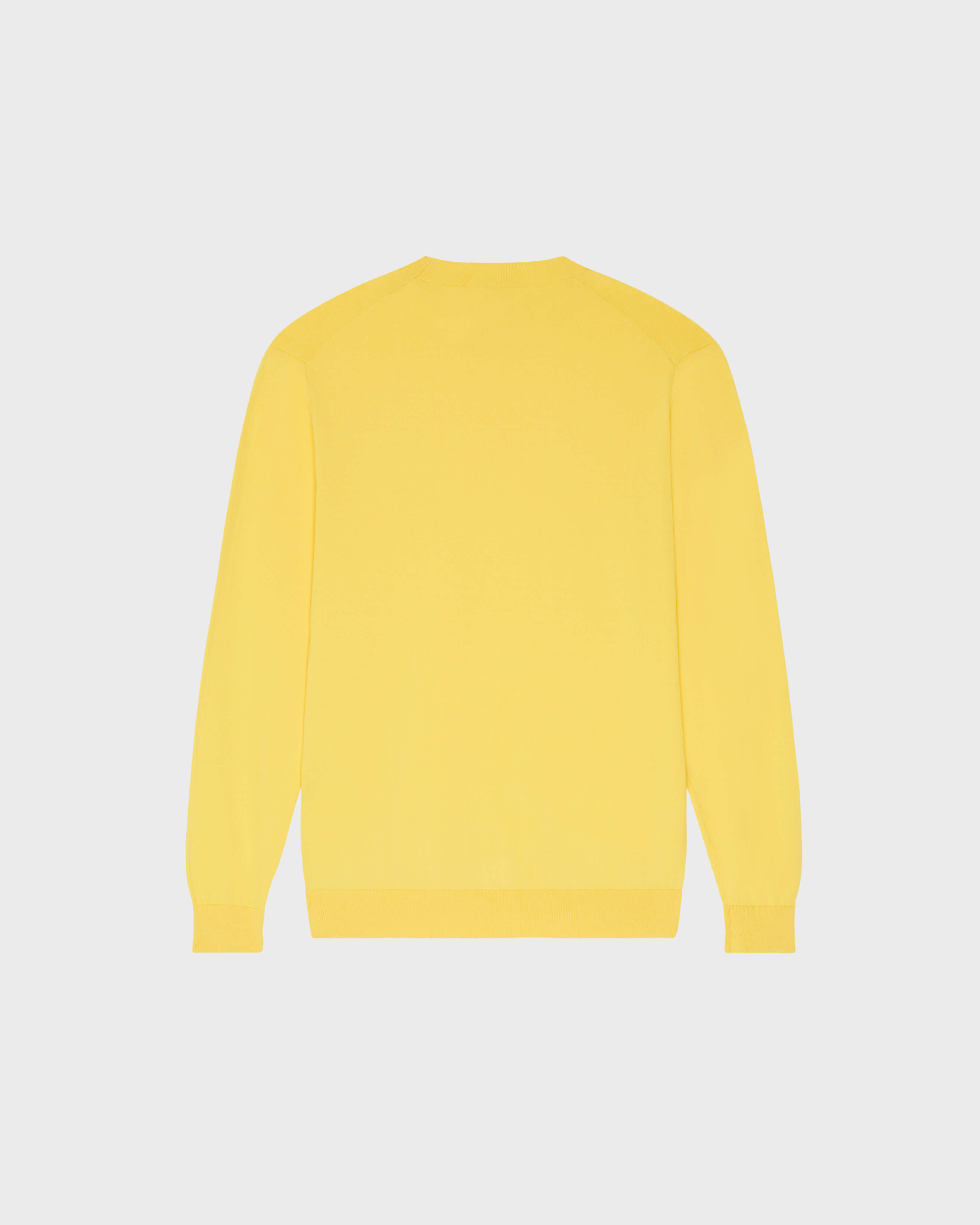 Men Cotton Sweater Turtle SUN back view