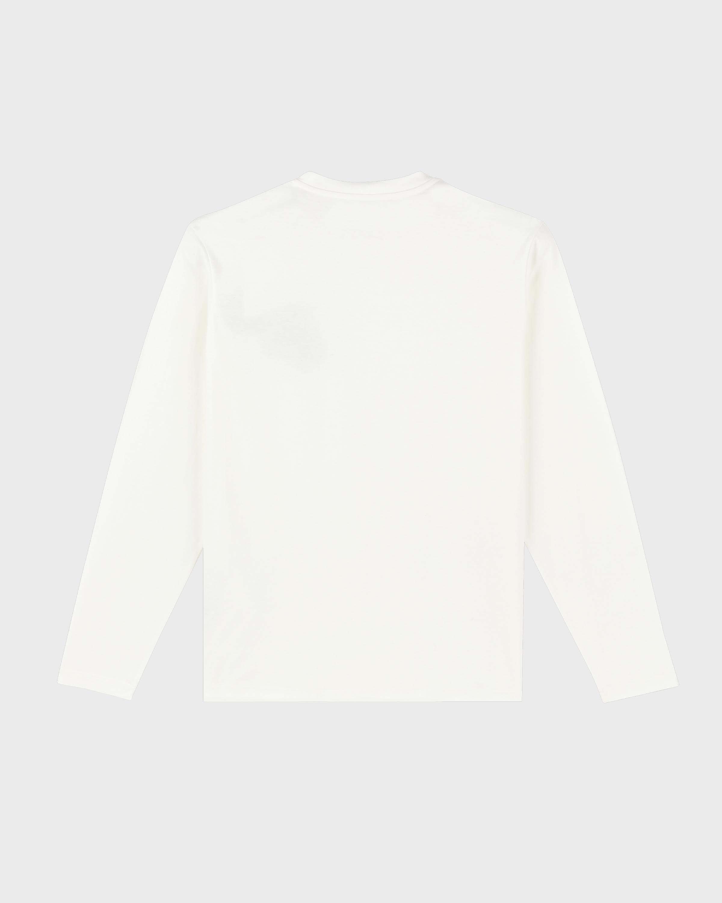 Men Cotton Long Sleeves T-shirt Embroidered Turtle OFF WHITE back view