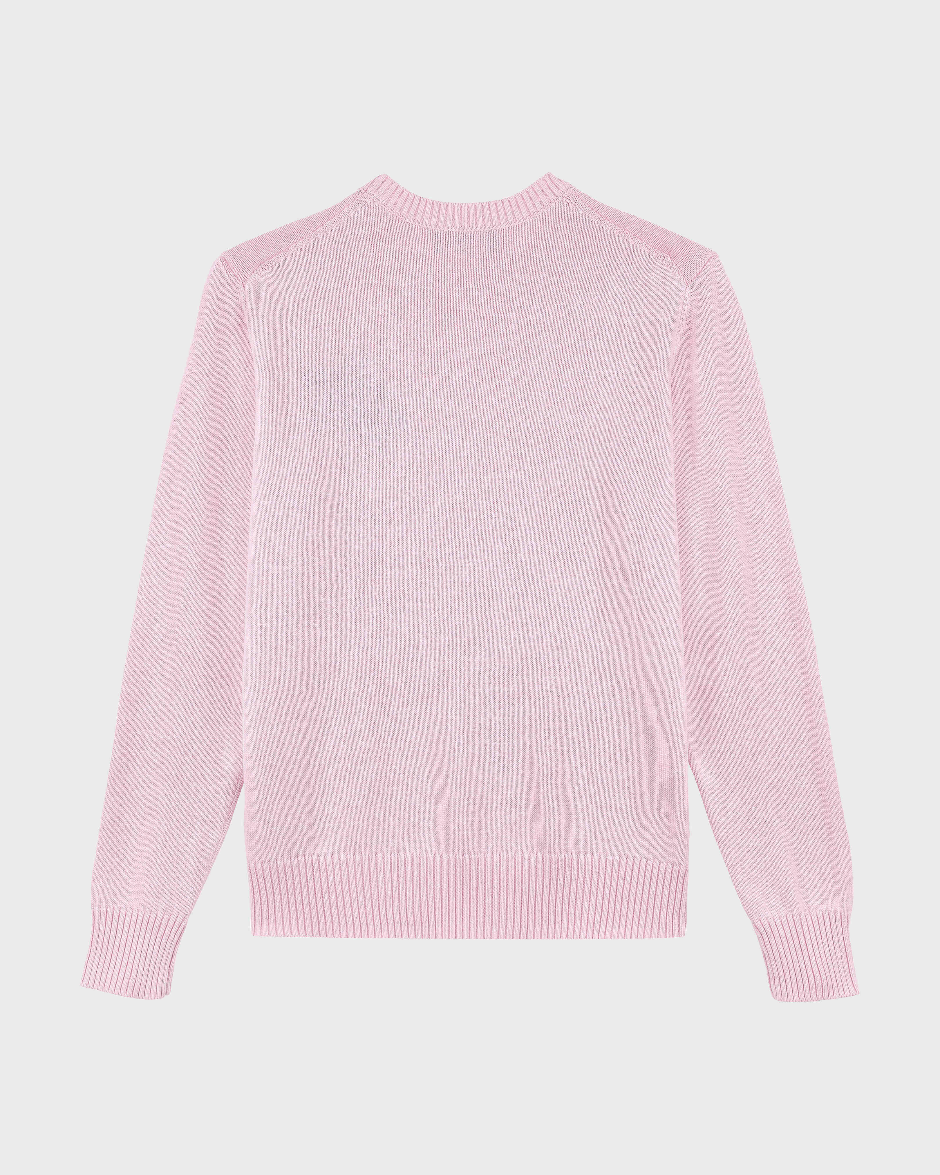 Men Cotton and Cashmere Crewneck Sweater Turtle PINK back view