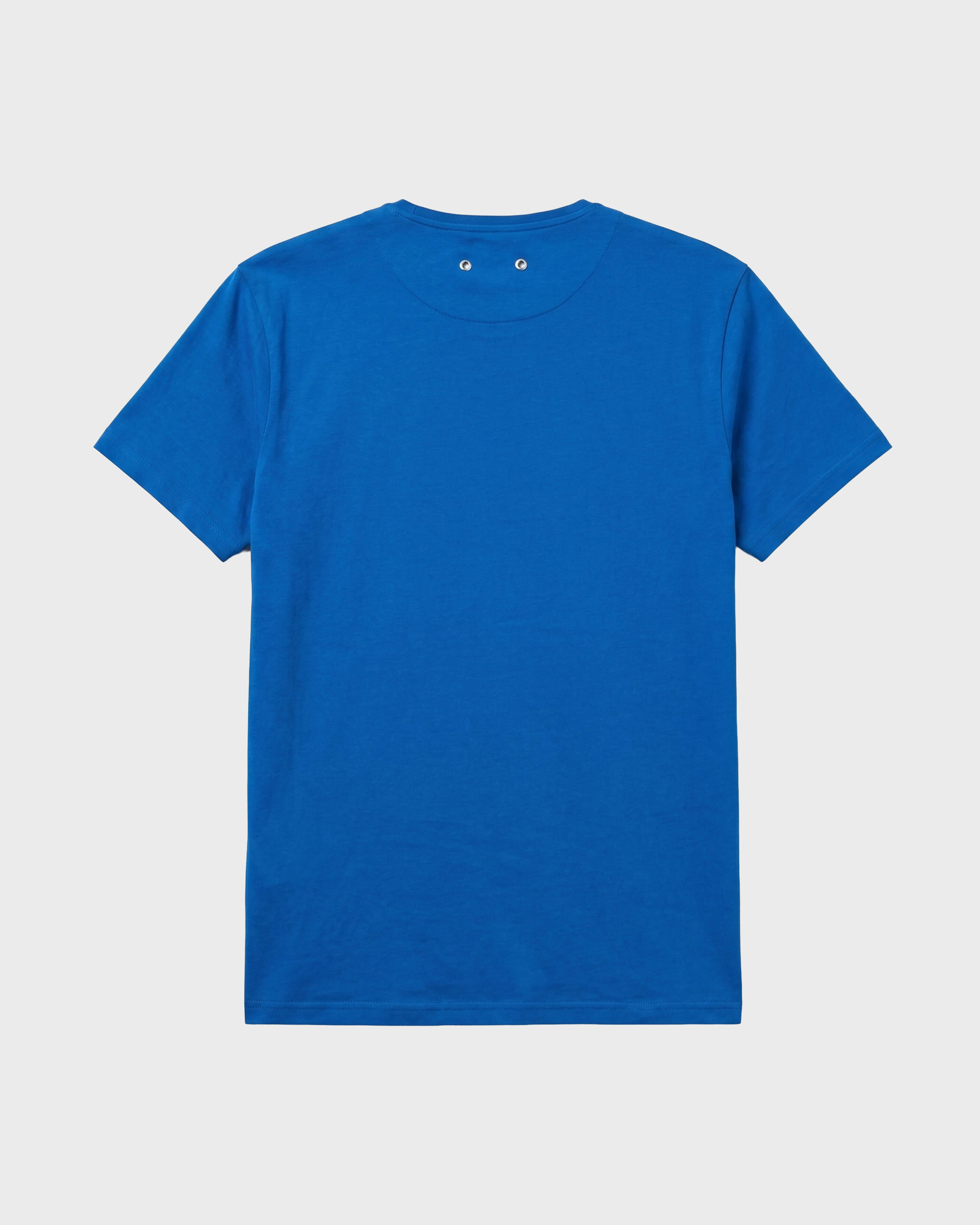 T-shirt uomo in cotone biologico Aqua PALACE back view