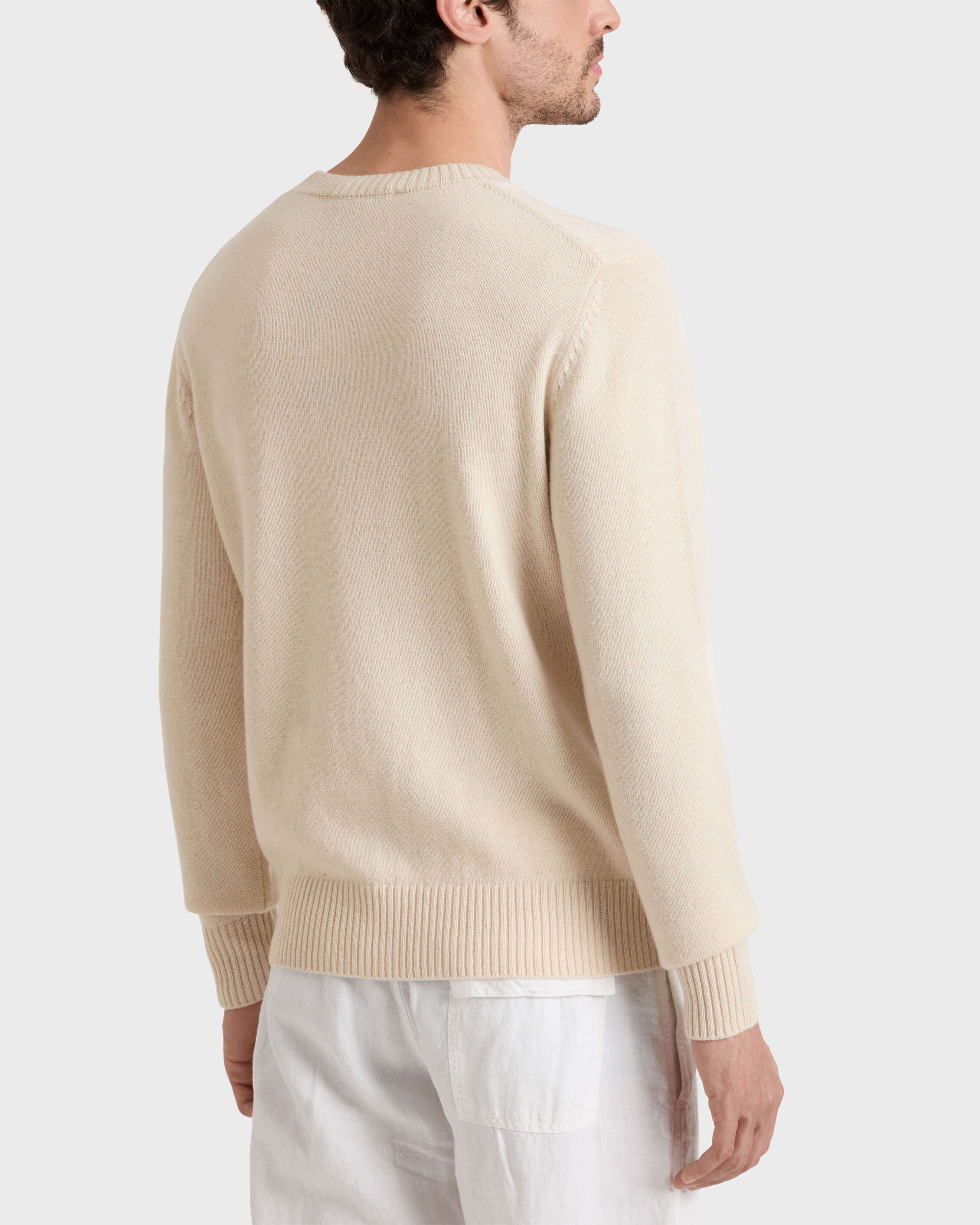 Jersey de lana y cachemir con estampado Turtle para hombre BRUME backworn view