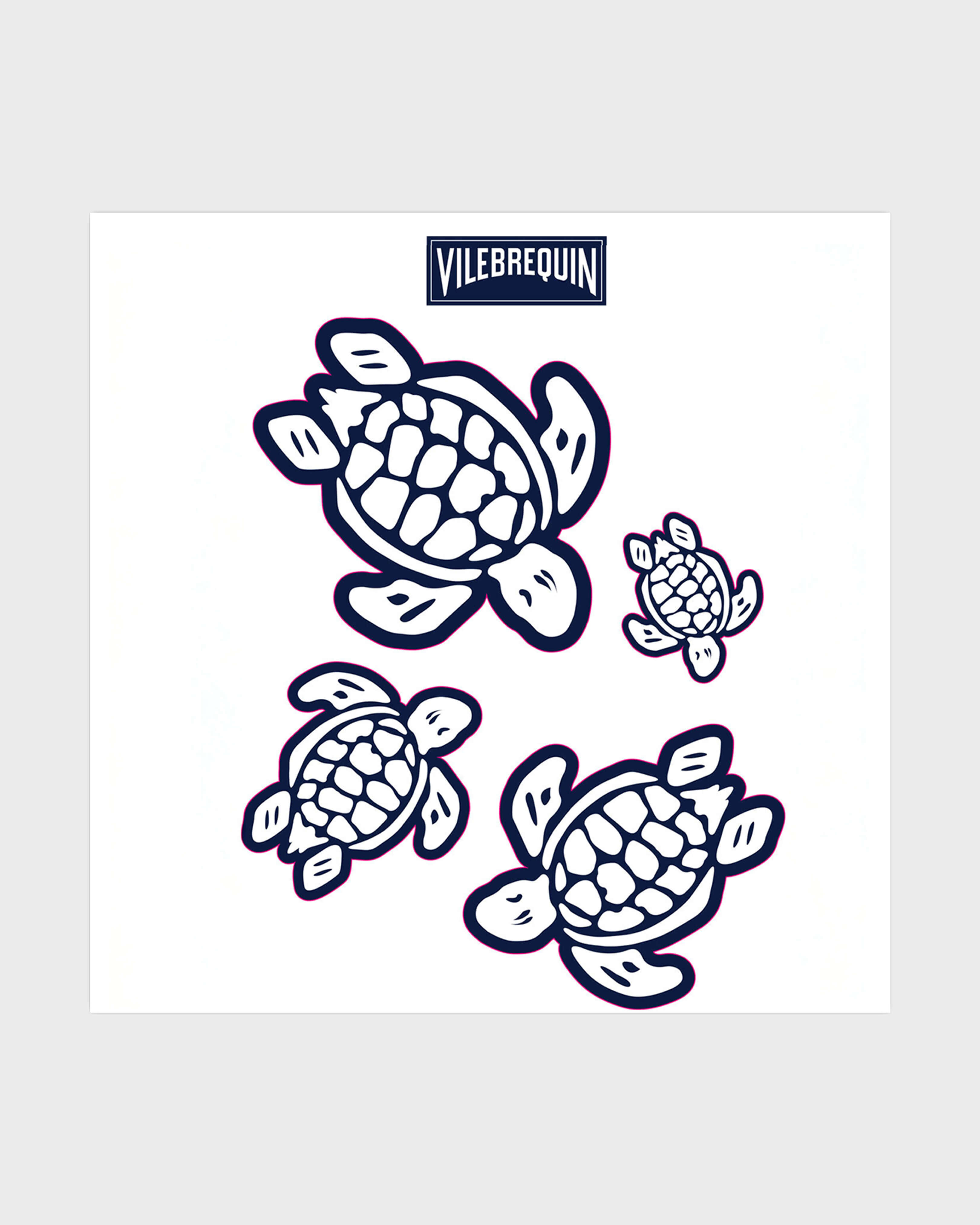 Sea Life Car Stickers - Vilebrequin x Fiat NAVY front view