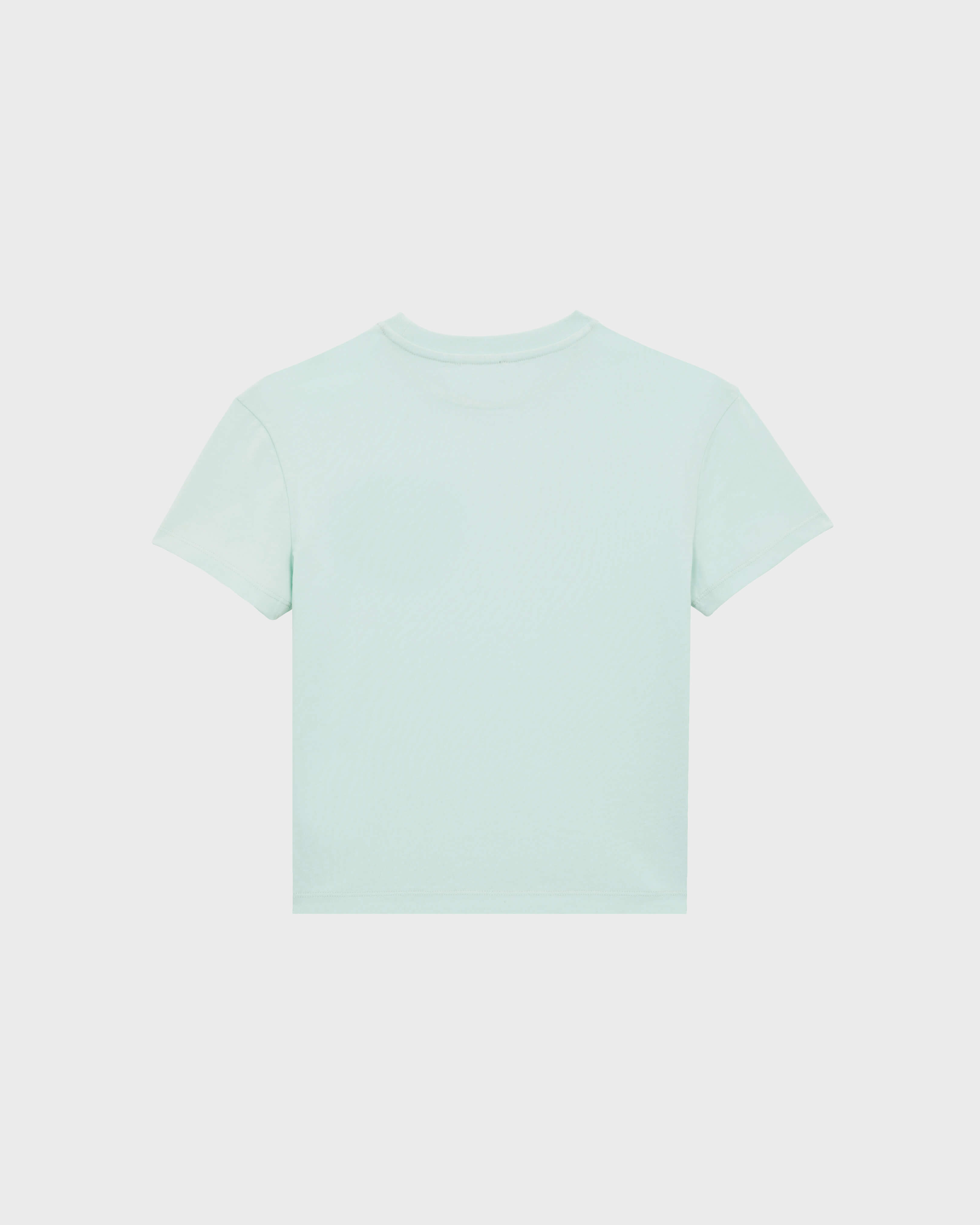 Boys Organic Cotton T-shirt Embroidered Turtle PACIFIC back view