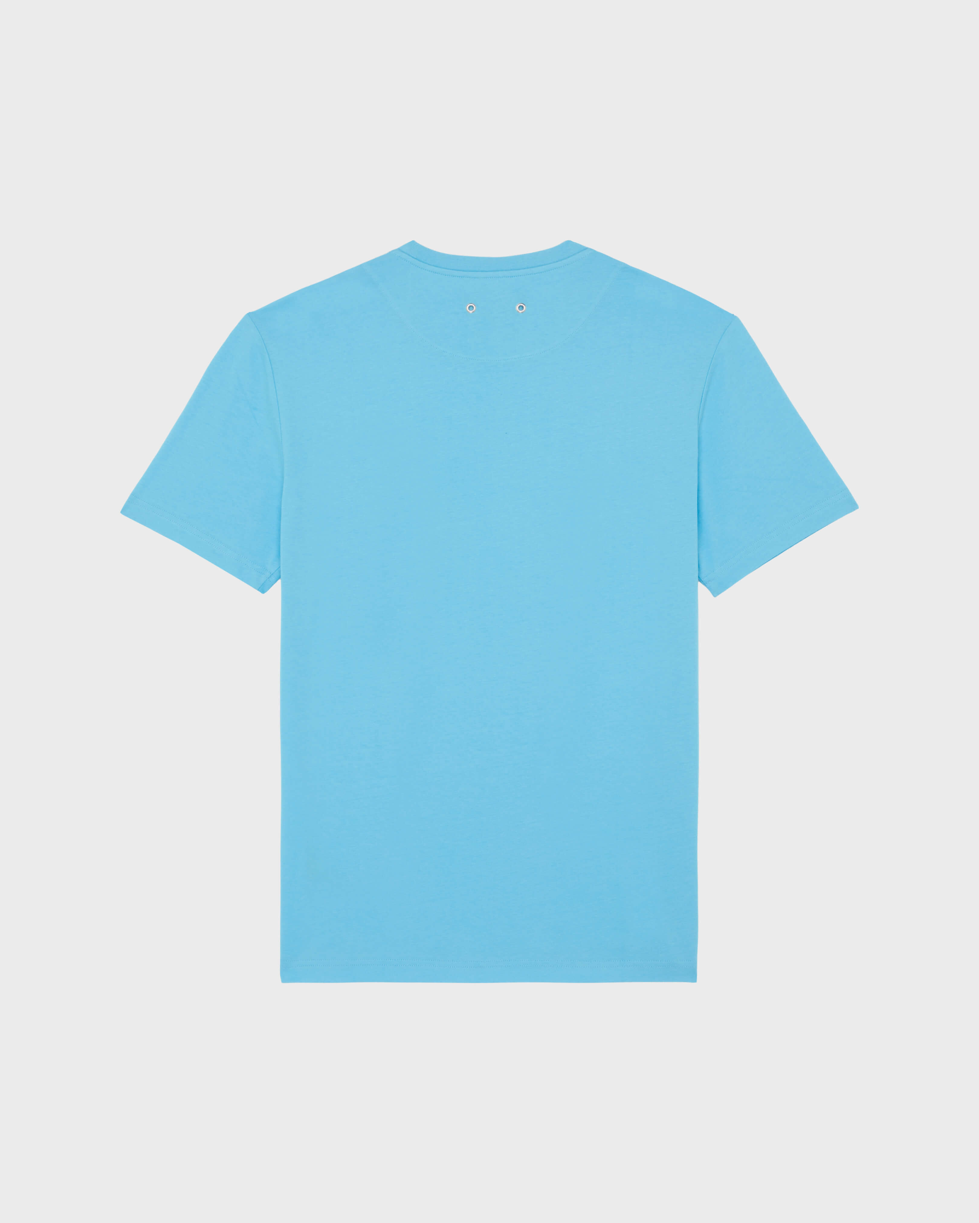 Men Organic Cotton T-Shirt Solid BLUE TOPAZ back view