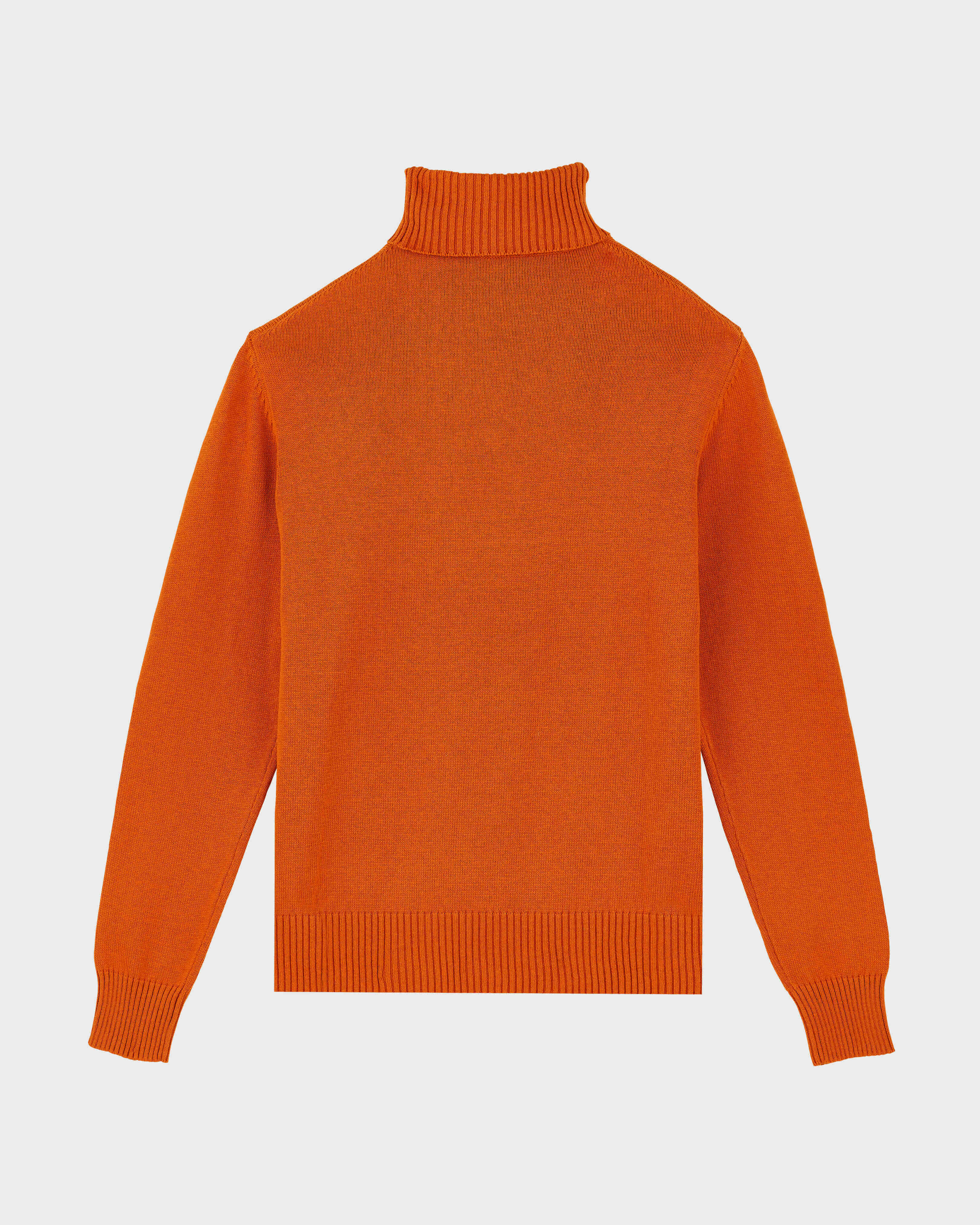 Jersey de algodón y cachemir con cuello vuelto y estampado Turtle para hombre CARAMEL back view