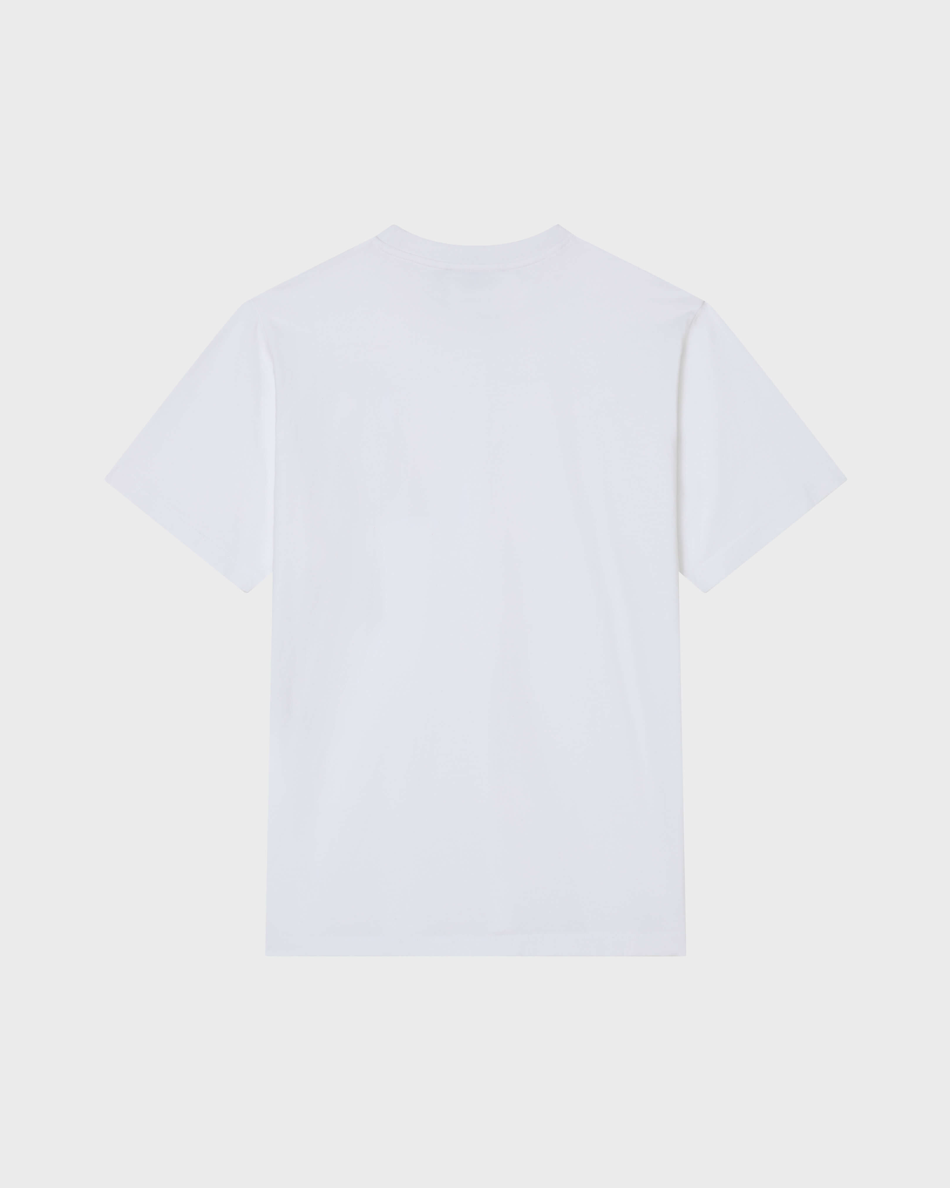 Men Organic Cotton T-shirt Big Turtle Embroidery VERSAILLES back view